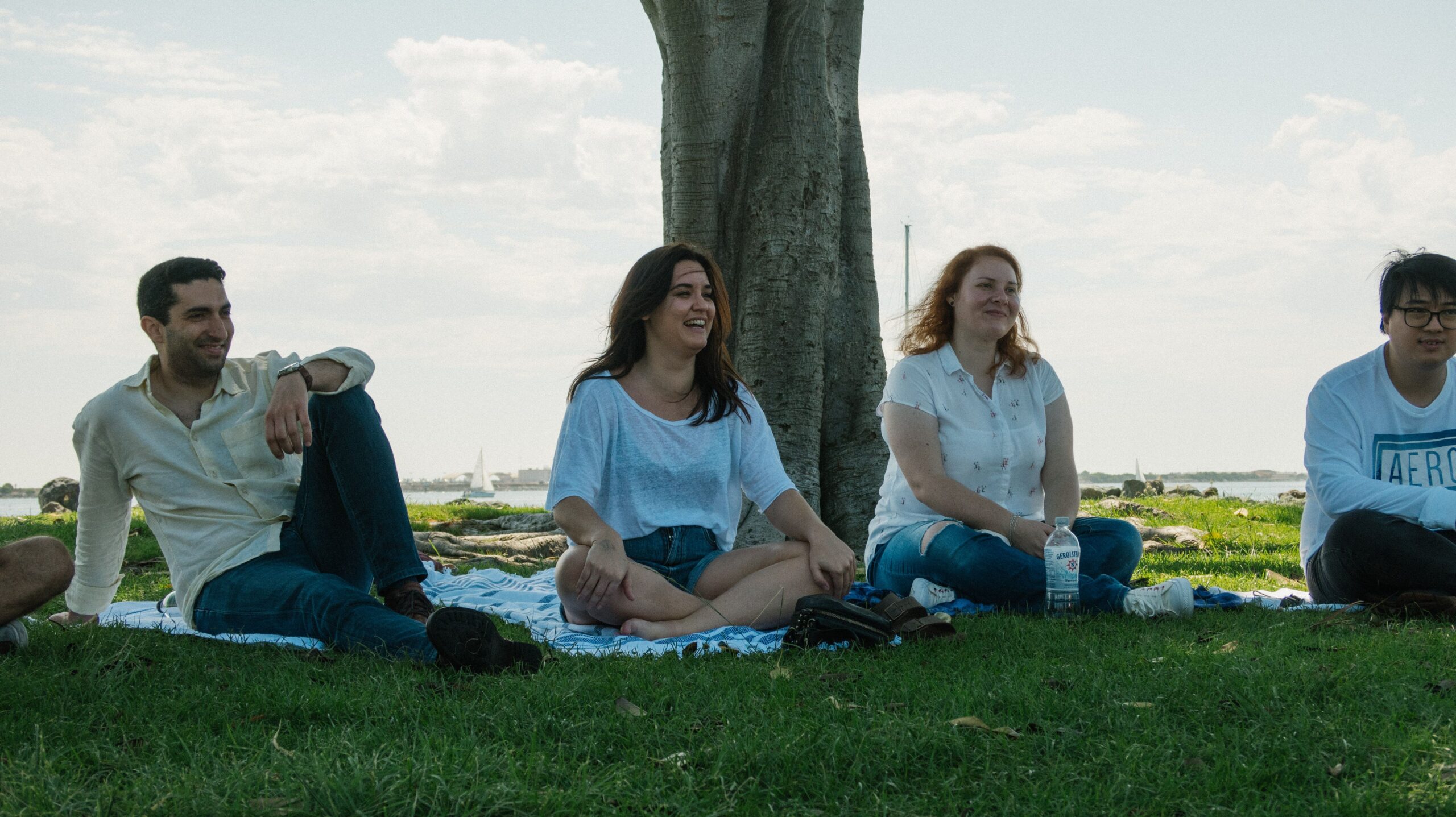 care concepts therapy group of friends sitting together on the grass looking happy care concepts therapy group of friends sitting together on the grass looking happy